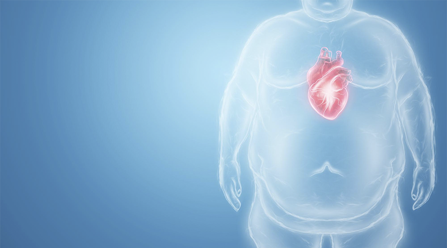 Como a Obesidade Pode Afetar o Coração