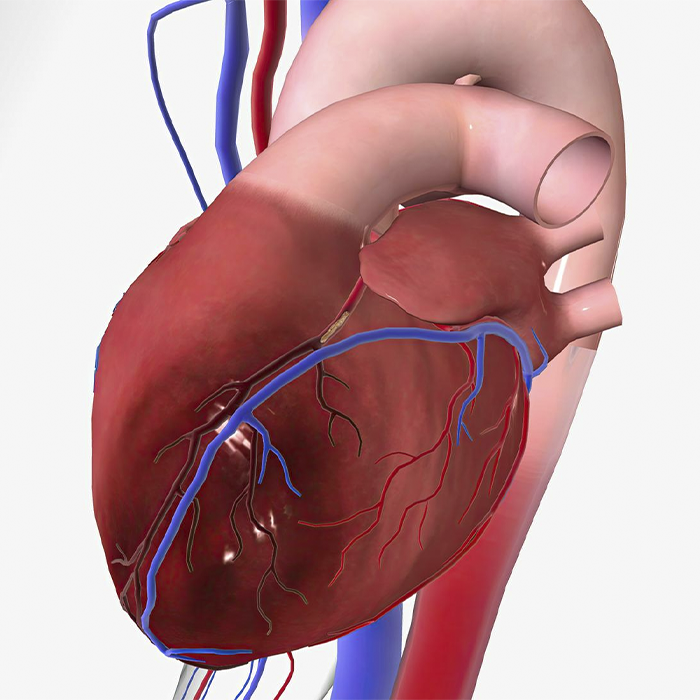 Angina estável e instável