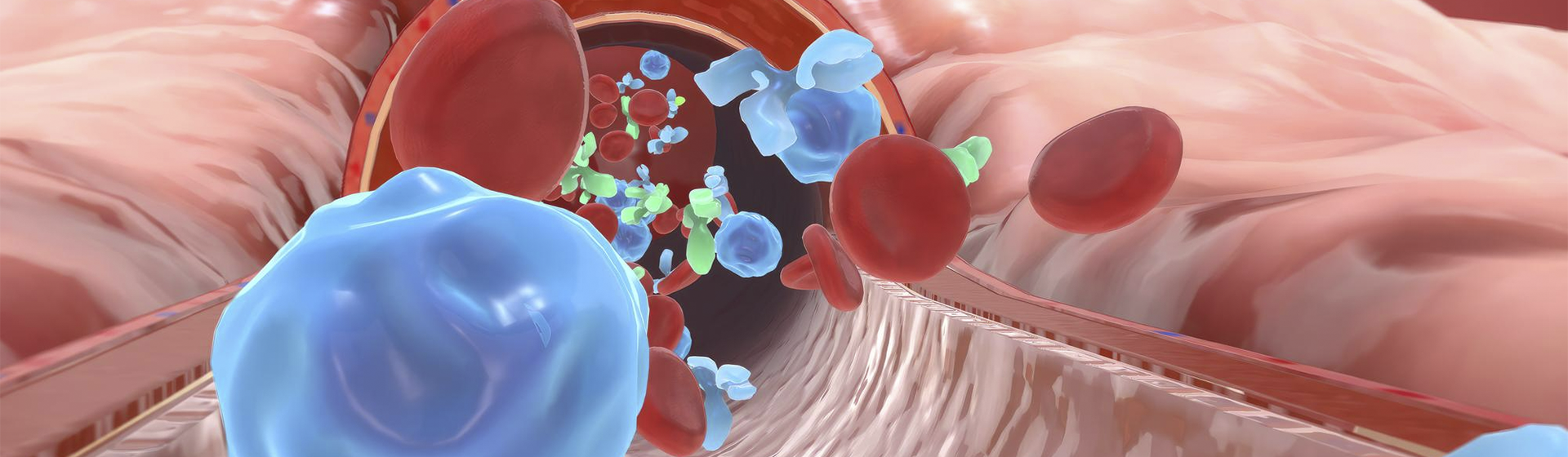 Miocardite viral ou autoimune