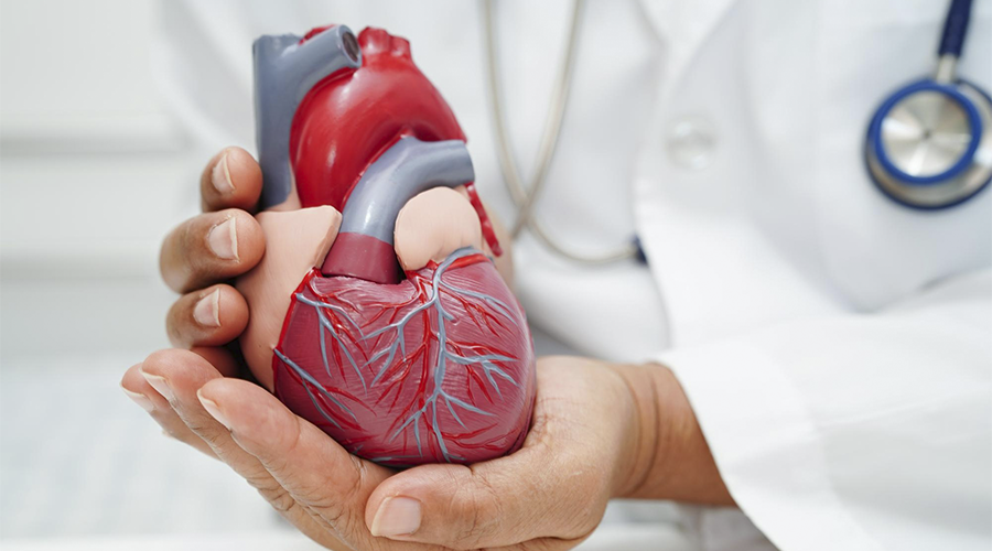 Sintomas, Diagnóstico e Tratamento