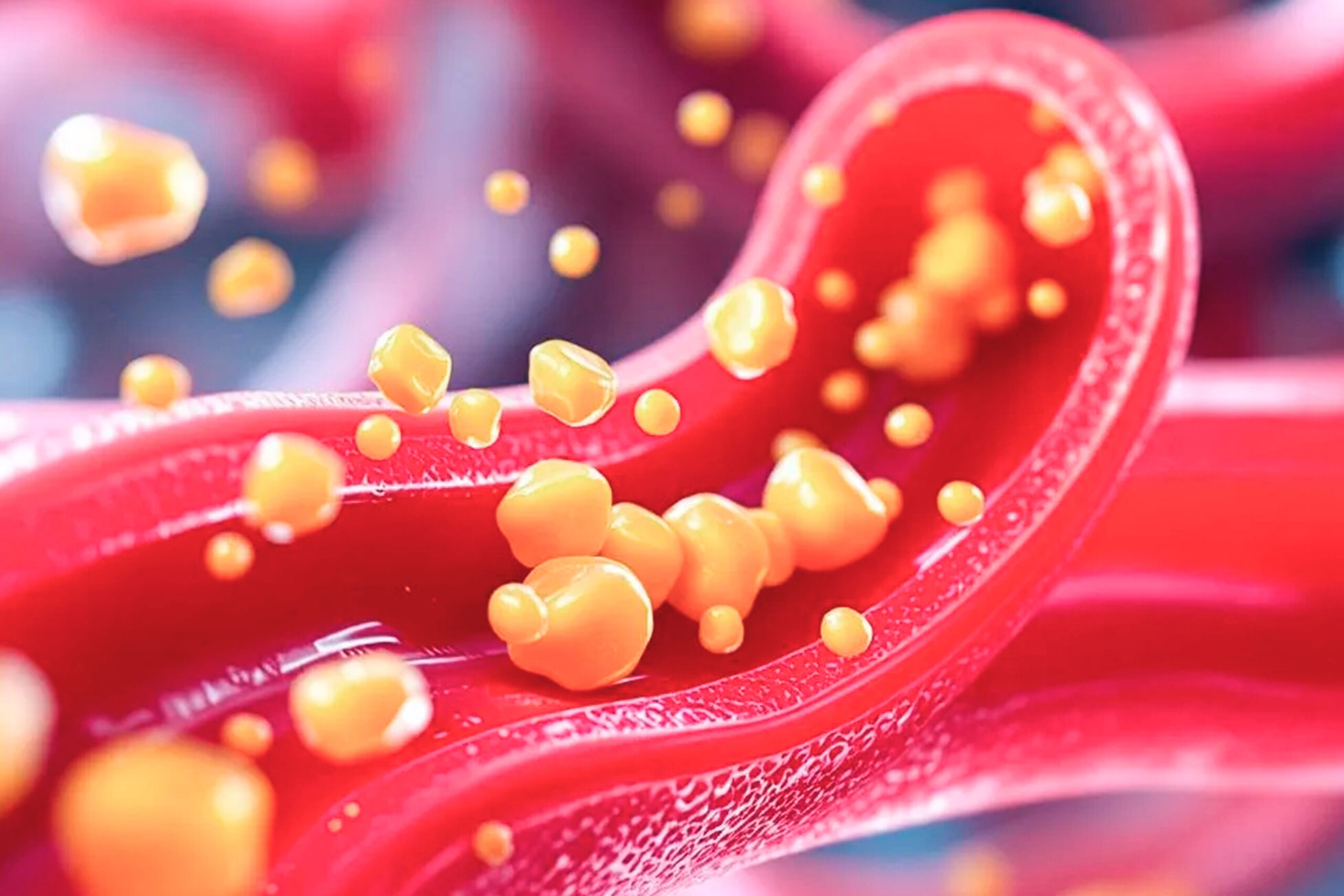 Você Sabe o Que é o Colesterol e Qual a sua Função?